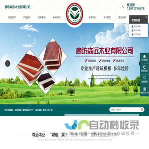 建筑模板_清水模板-廊坊森远木业有限公司